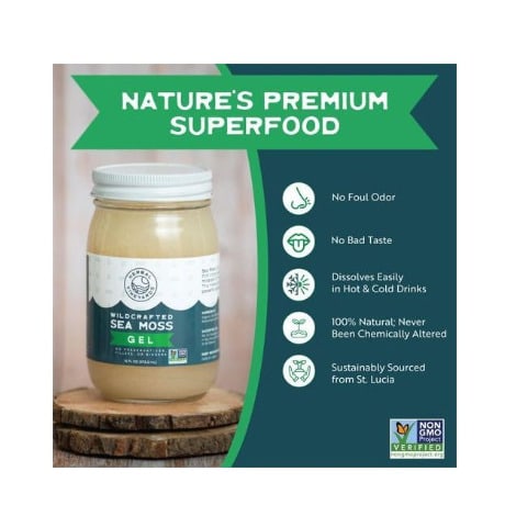 Natural Organic Wildcrafted Gold Raw Sea Moss Gel - 473ml