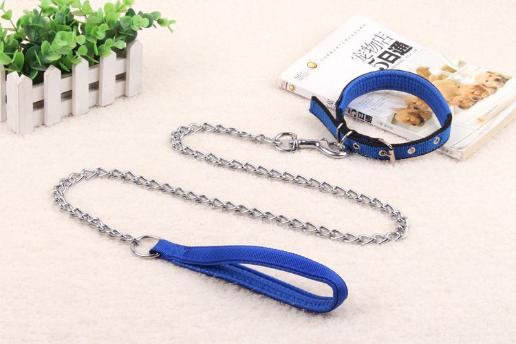 Adult Dog Chain And Collar - 3FT