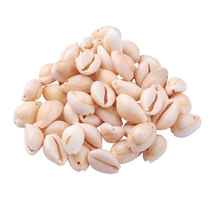 About 120150Pcs Natural Cowrie Beach Sea Shells 912mm Natural Spiral