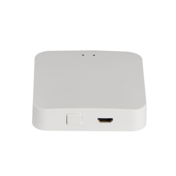 Bluetooth Wi-Fi Mesh Gateway Hub APP/Voice Controlled Remote