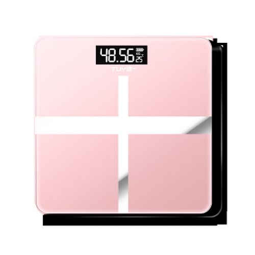 Digital Bathroom And Body Scale