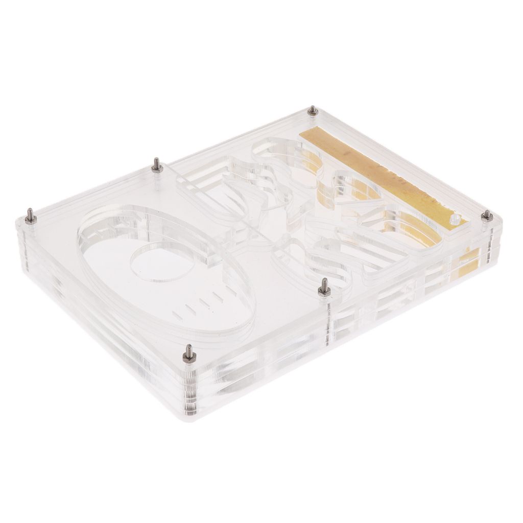 Clear Ant Housing Acrylic Nest Ant Feed Farm Formicarium Box 13 X 10 X