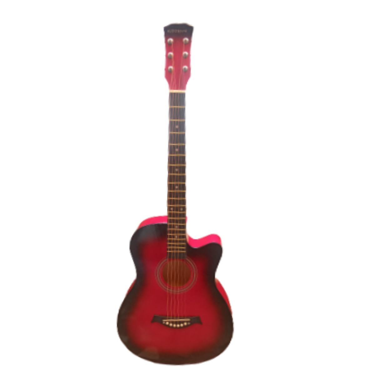 Professional Accoustic Guitar