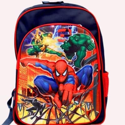 Big Spiderman School Bag