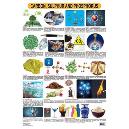 Carbon Sulphur & Phosphorus Educational Laminated Wall Chart