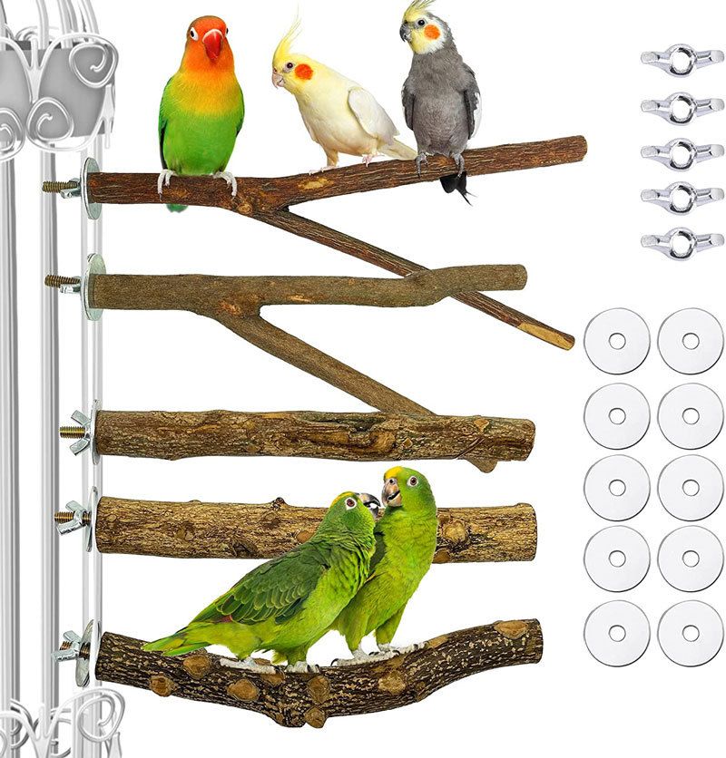 Bird Perch Wooden Bird Toy Stand Stick Stand Stick Bird