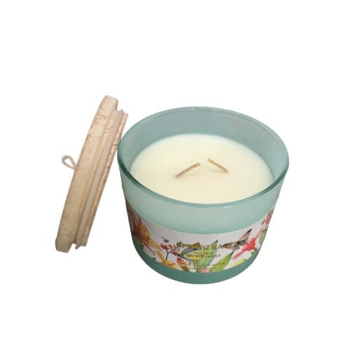 Willow + Rose Spring Rain Sun Washed Cotton Candle - 11oz - 312g