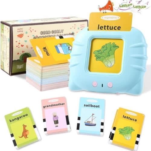 Kids Flash Card Learning Toy
