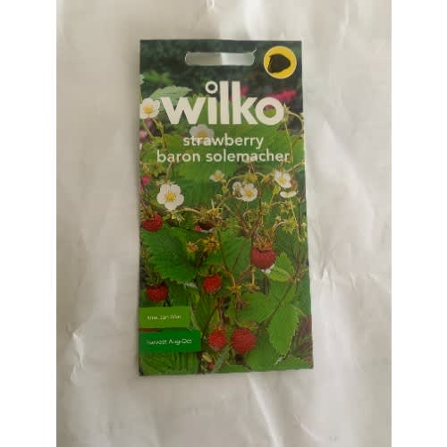 Strawberry Baron Solemacher Seeds-150 Seeds