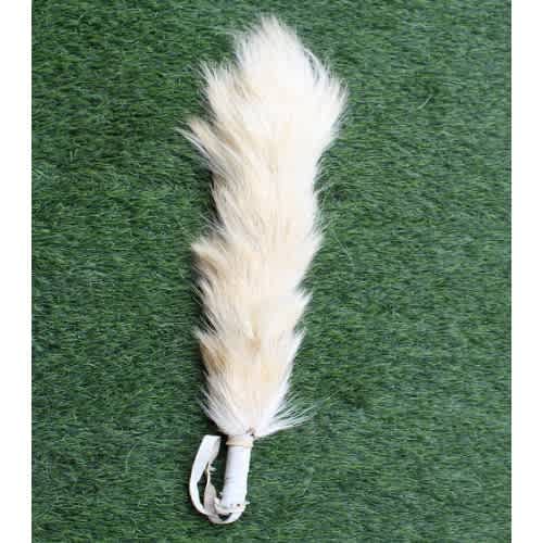 Locally Made Fashionable Horsetail