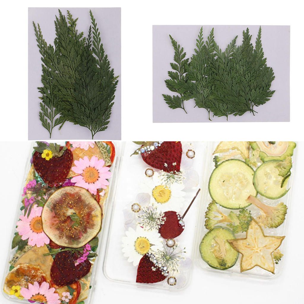 12 Real Pressed Dried Flower Leaves For Epoxy Resin Jewelry Making