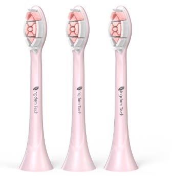 Pink Medium Four Brush Head