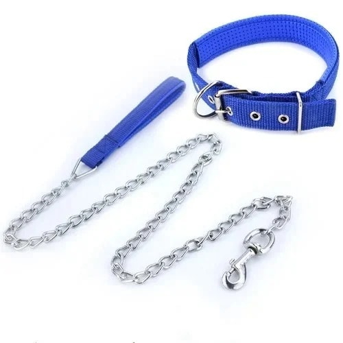 Dog Chain And Collar - 6ft
