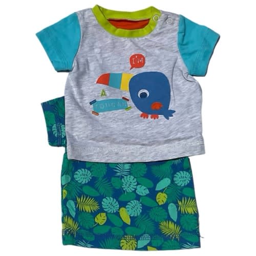 Baby Boys Tees - 2 Packs