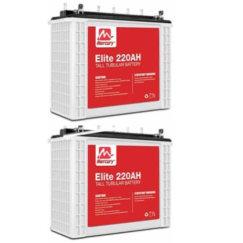 Tall Tubular Battery - 220ah 12volts - Set Of 2