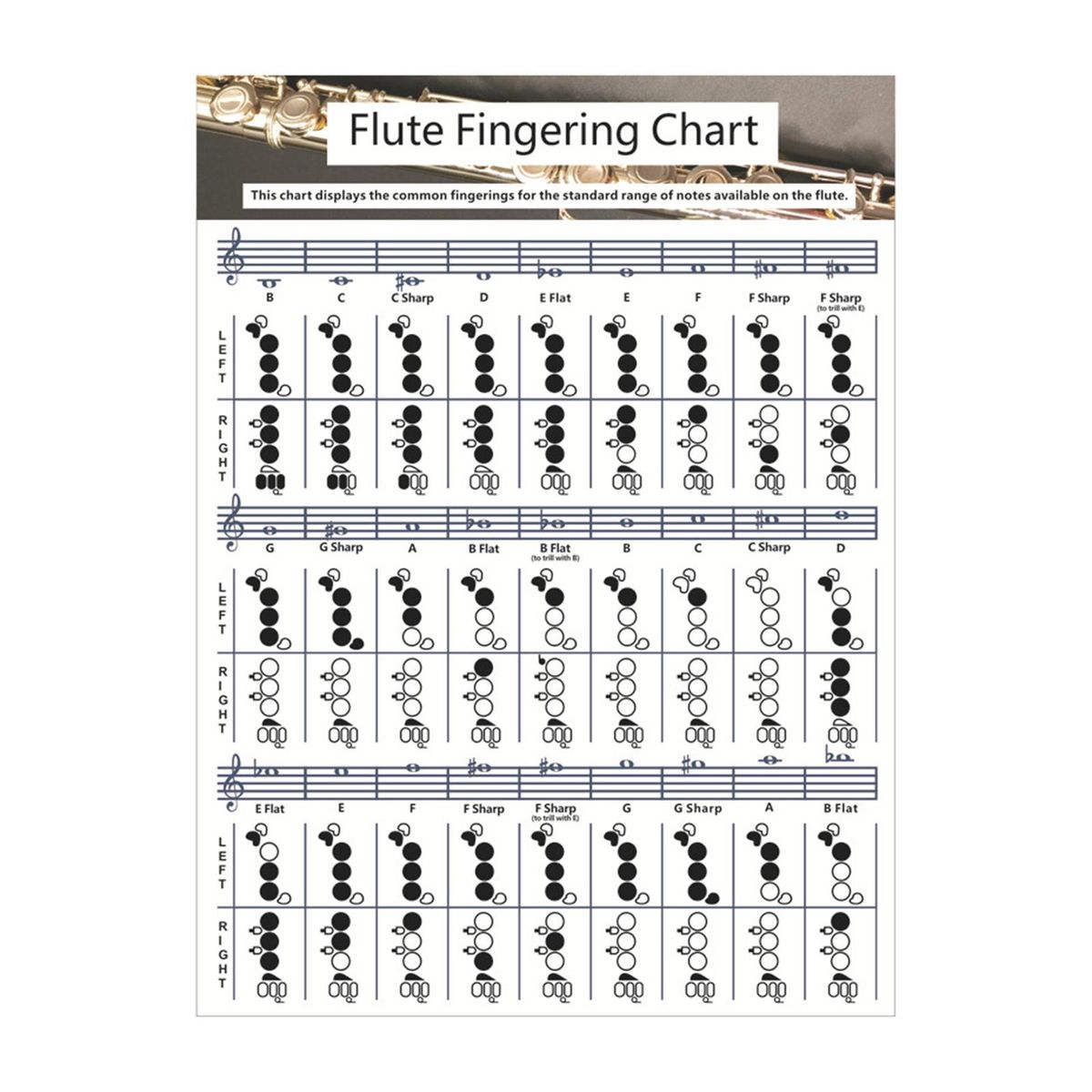 Copper Sheet Flute  Fingering Chart Instrument Instructional For Large