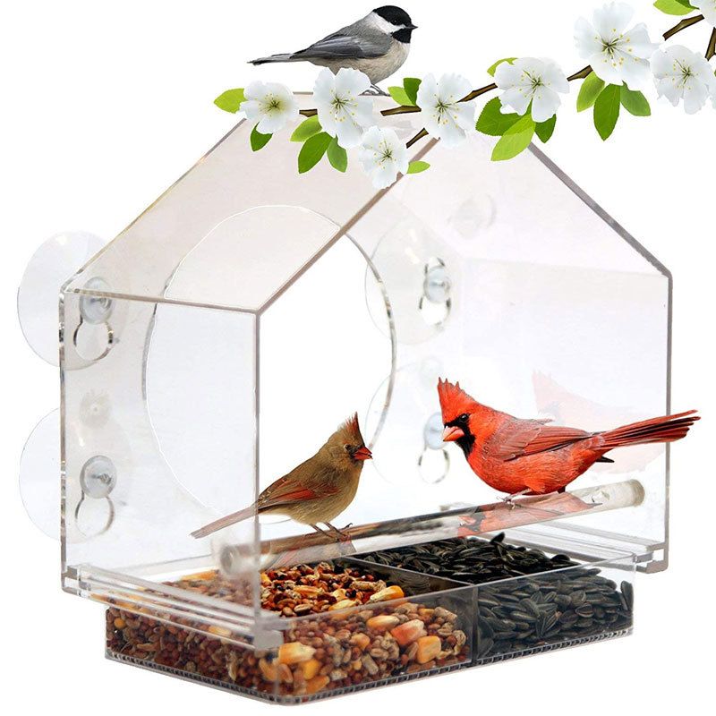 Bird Feeder Acrylic Outdoor Garden Hummingbird Field Feeder