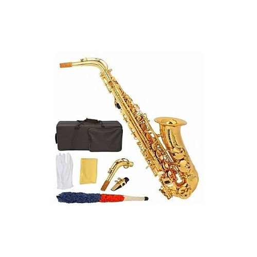 Professional Alto Saxophone - Gold