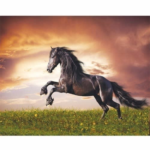 Power Horse Picture Frame - 2ft X 3ft