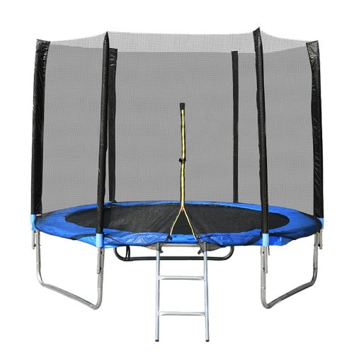 Fitness Trampoline With Ladder - 8ft