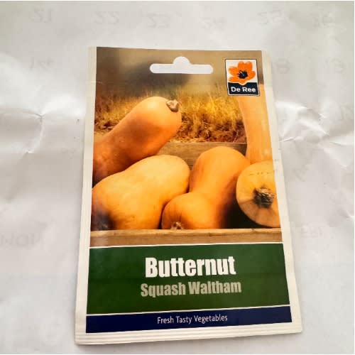 Butternut Squash-waltham-9seeds