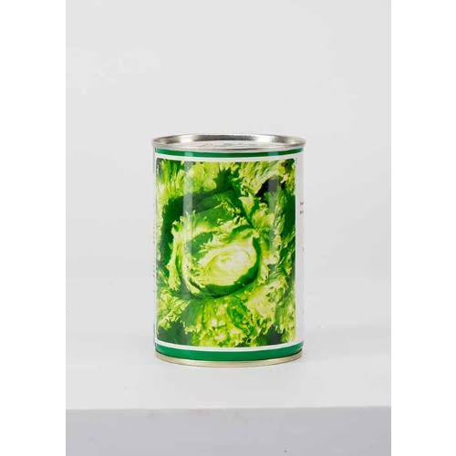 Hybrid Eden Lettuce Seeds (iceberg) - 100g