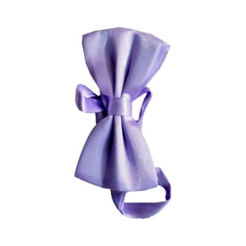 Fashionkids Men's Bow Tie- Lilac