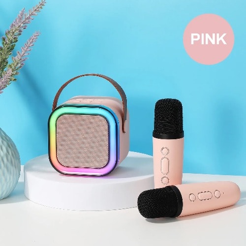 Wireless Speaker With Dual Microphone