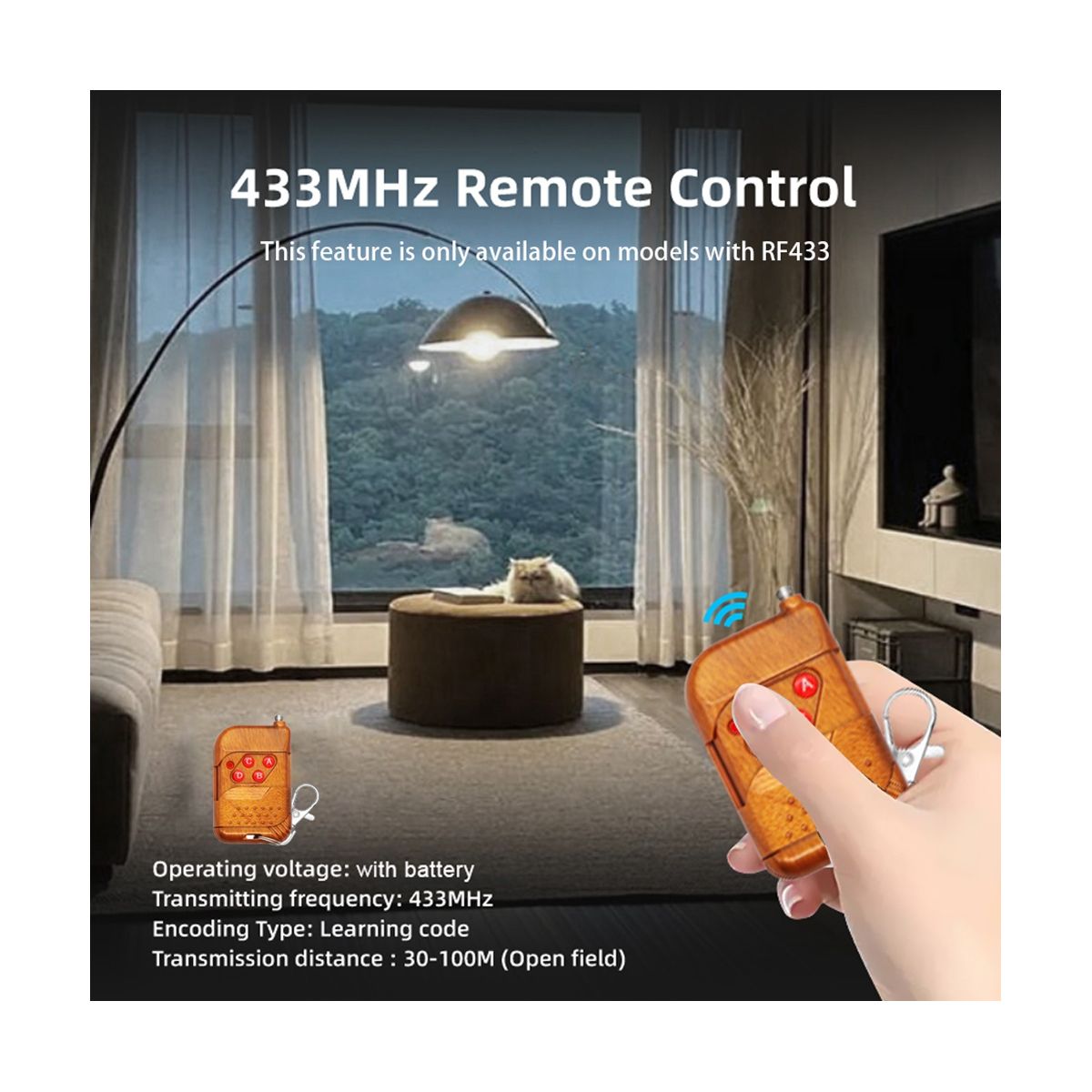 WiFi Smart Switch DIY Timer+RF433 Remote 1CH 7-32V 2.4G