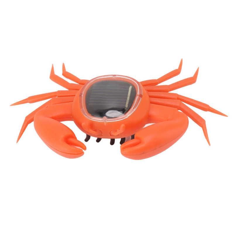 Solar Powered Crab Toy Simulation Teaching Learning Solar Crab Model Toy Simulation Solar Crab Toy