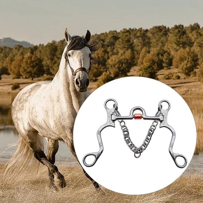 Stainless Steel Horse Bit With Copper Mouth Silver Trims For Horse