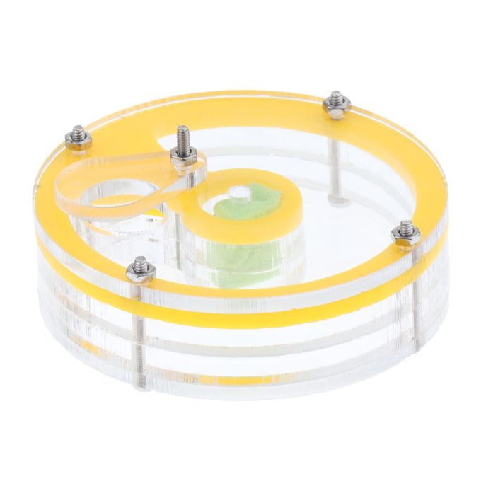 Pet Anthill / Formicarium / Formicary / Ant Feeder / Feeding Box