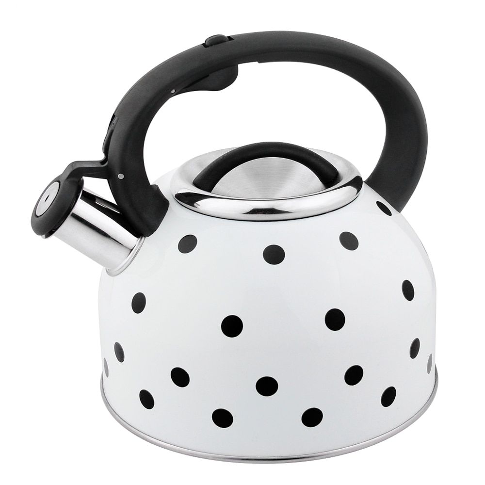 Hausrod Stainless Steel Whistling Boiler Home Using