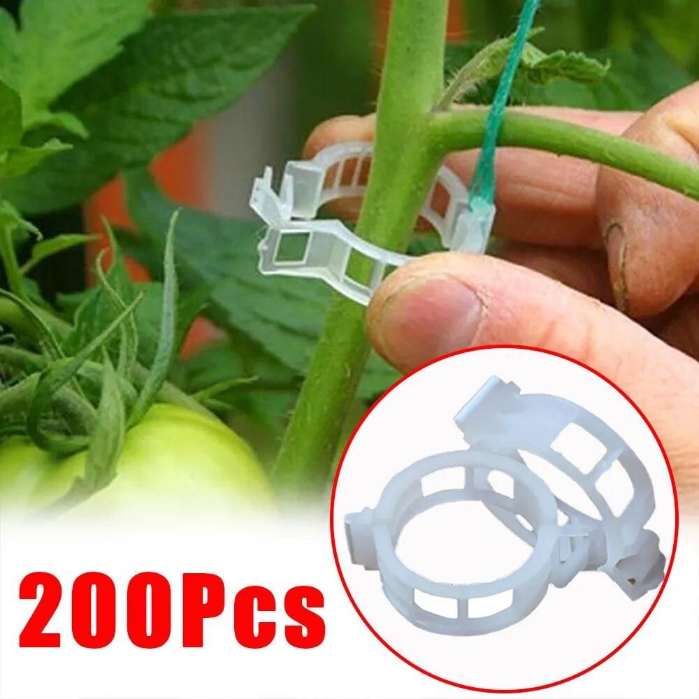 200/50Pcs Plastic Plant Support Clips Reusable Vine Protection Grafting Fixing Tool For Vegetable Tomato Garden Supplies