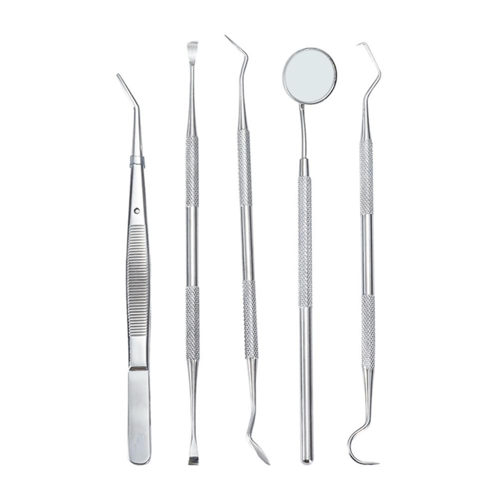 5pcs Stainless Steel Dental Tools Kit Teeth Tartar Scraper Mouth Mirror Dentists Pick Tool Teeth Scaler for Personal Use