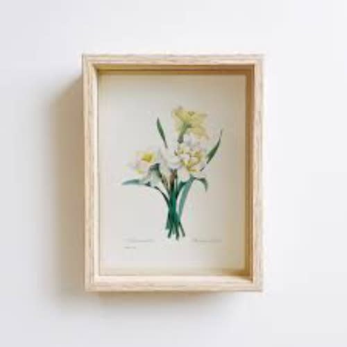 Framed Flower Bulbs
