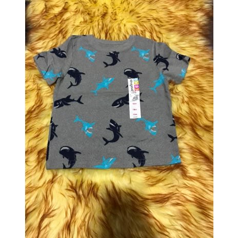 Soft Apparels Shark Printed Cotton T-shirt - Half Sleeve