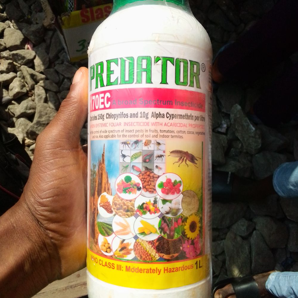 INSECTICIDE  Predator Chlorpyrifos 50% EC -1L