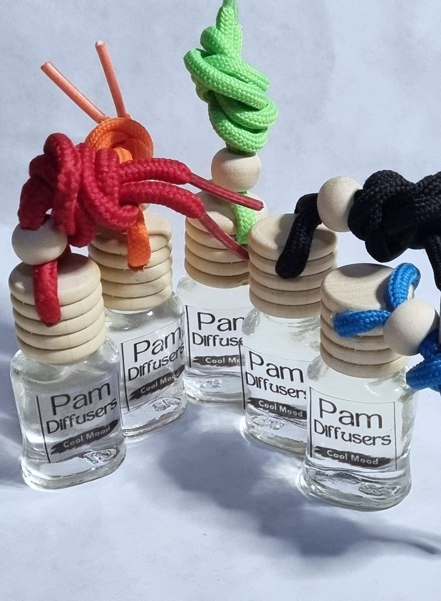 5&times; Hanging Car Air Freshener - Car Diffuser - Cool Mood