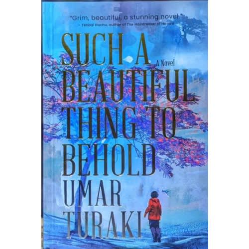 Such A Beautiful Thing To Behold - A Novel