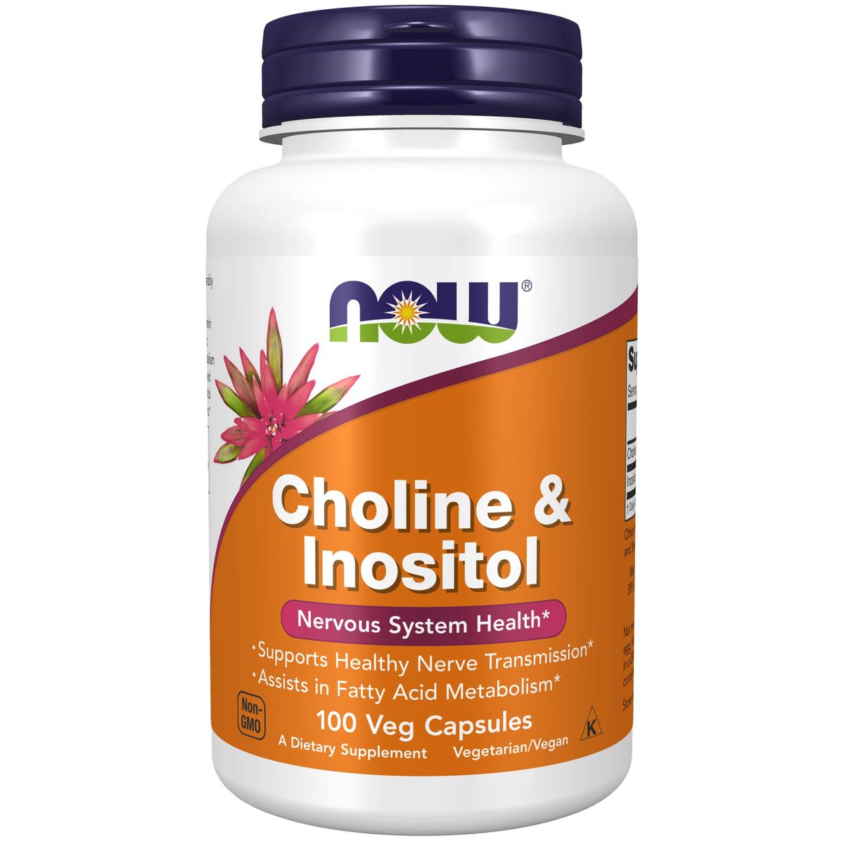 Choline & Inositol 500mg - 100 Capsules