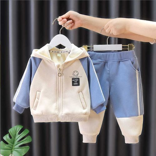 2pcs Boys' Padded And Thickened Hooded Sweatshirt Set