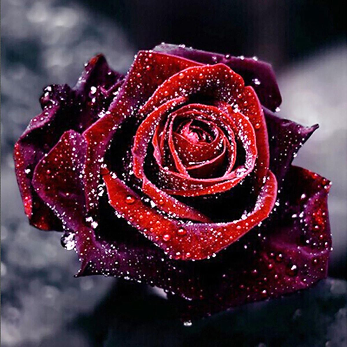 DIY 5D Diamond Jewel Paint Kit Rose Flower Pattern Full Drill Cross Stitch Diamond Jewel Paint for Adults Children Home Wall Decoration Arts Craft Supply