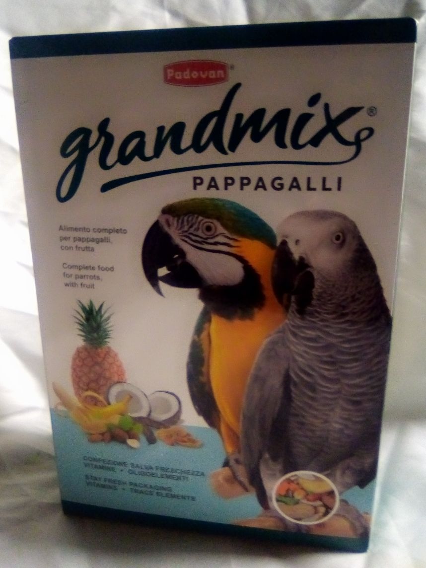 Pappagalli Parrot Bird Food