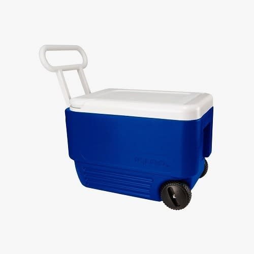 Food Drinks Cooler - 38 Quart
