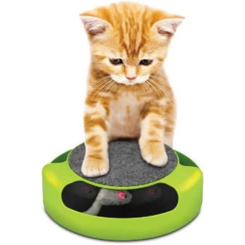 Motion Cat Toy Mouse Catcher