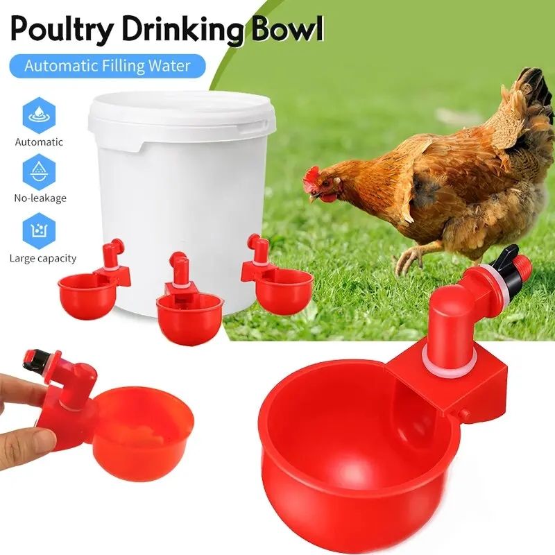 Automatic Birds Chicken Drinkers Cups Waterers Chicks Ducks