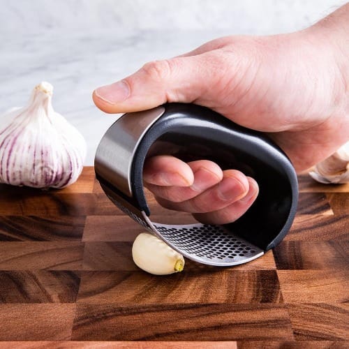 Stainless Steel Garlic Presser