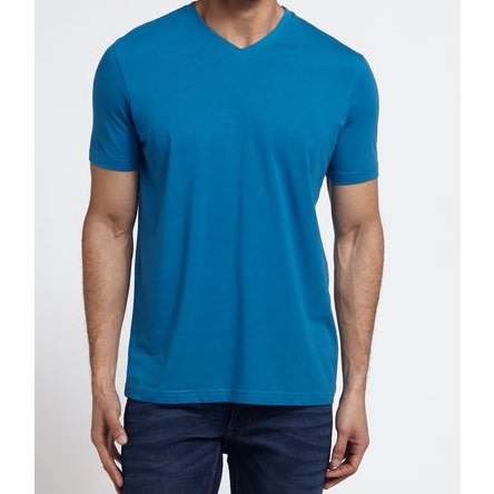 Mens T-shirt- Blue