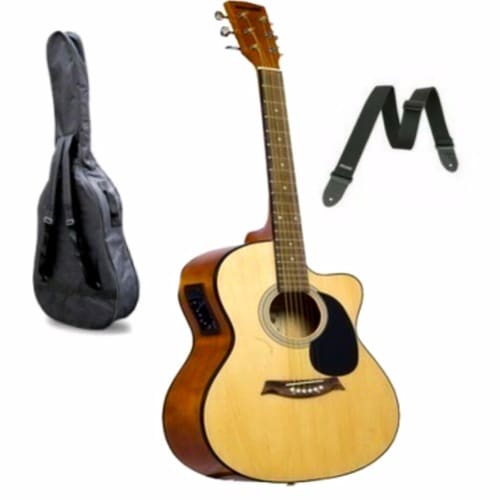 Electric Acoustic Guitar